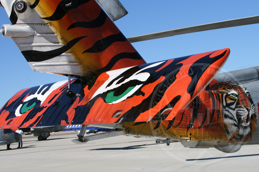 custom paint on Sea Hawk helicopter
